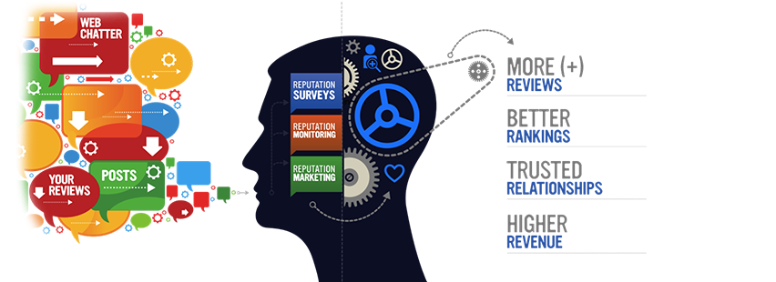 Brand Management